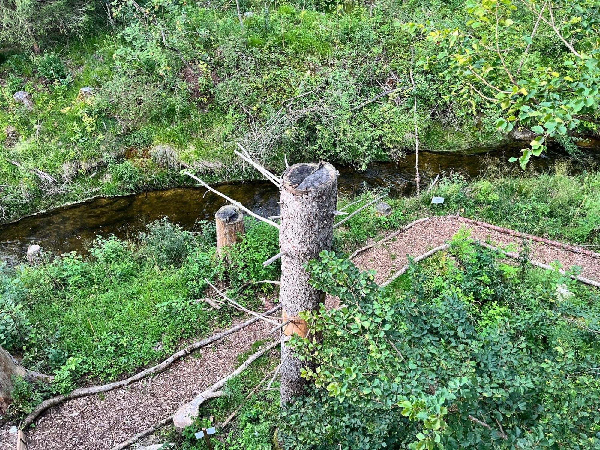 Готель Wald Ist Zukunft Bernbeuren Екстер'єр фото