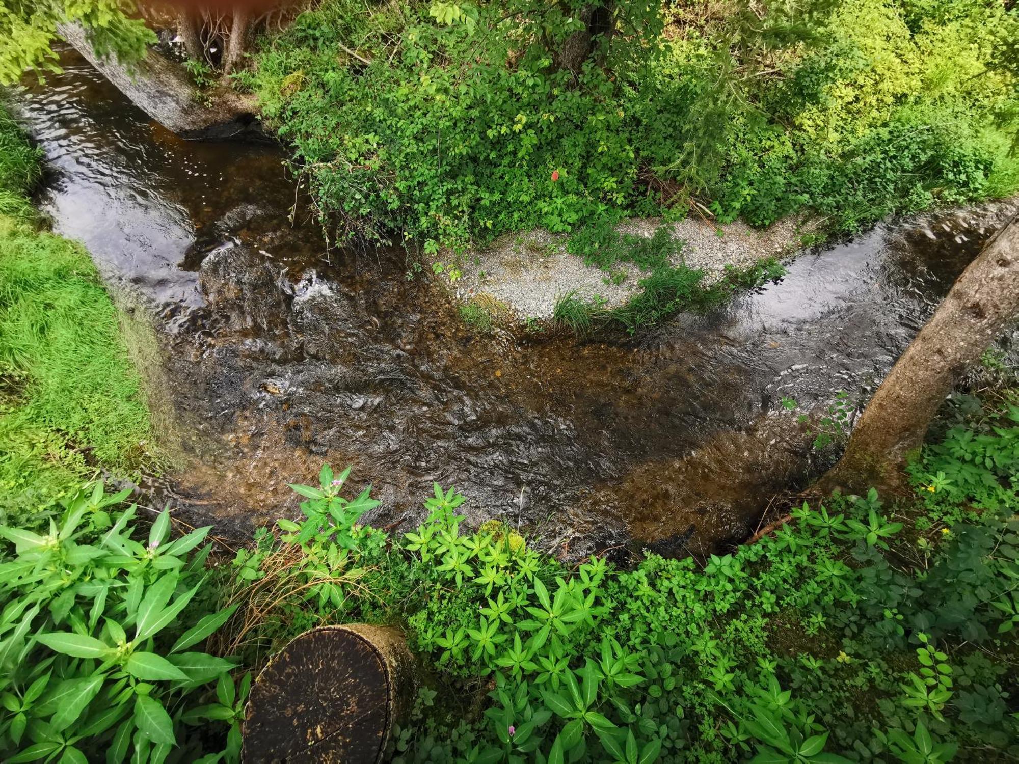 Готель Wald Ist Zukunft Bernbeuren Екстер'єр фото
