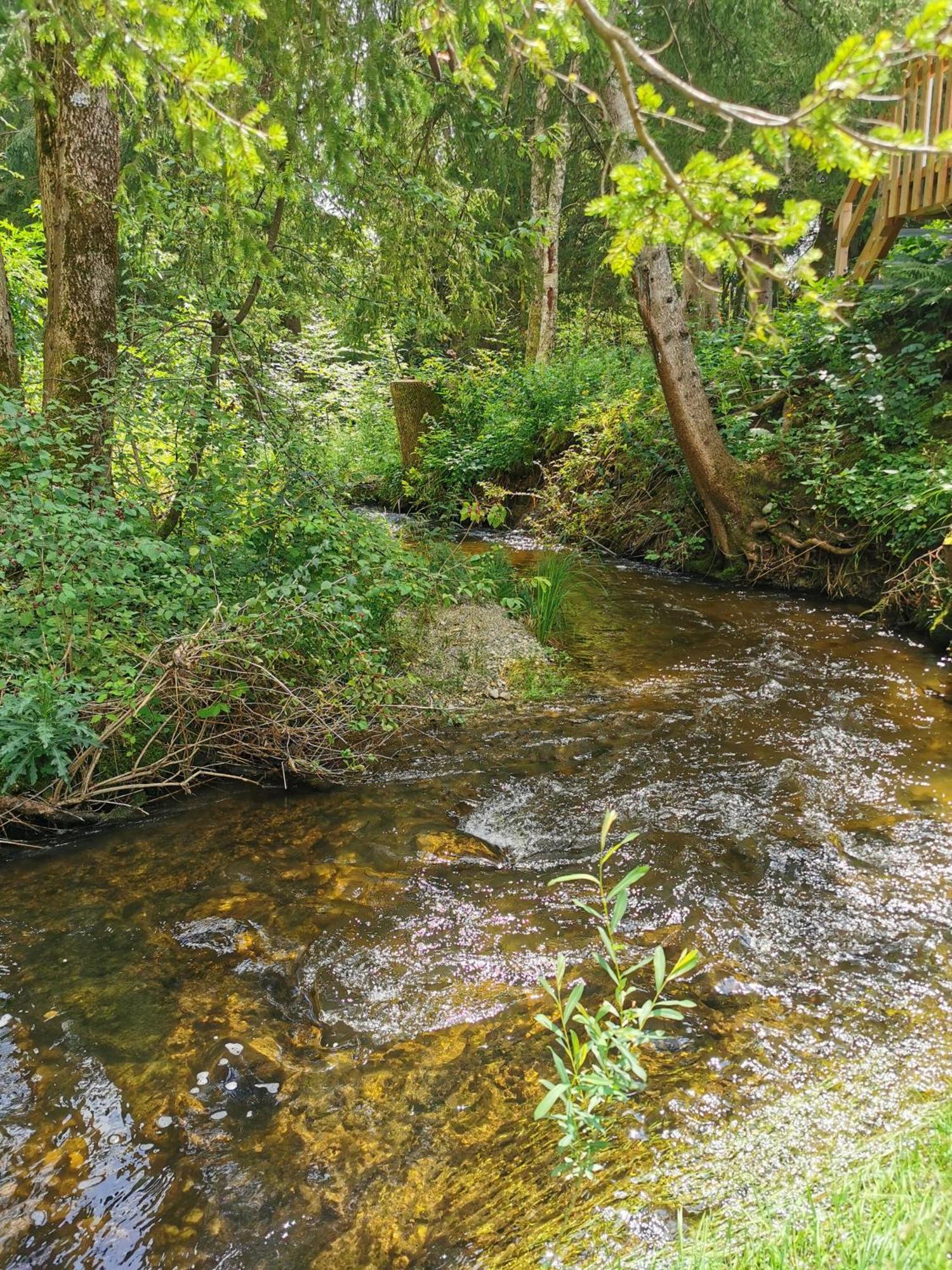 Готель Wald Ist Zukunft Bernbeuren Екстер'єр фото