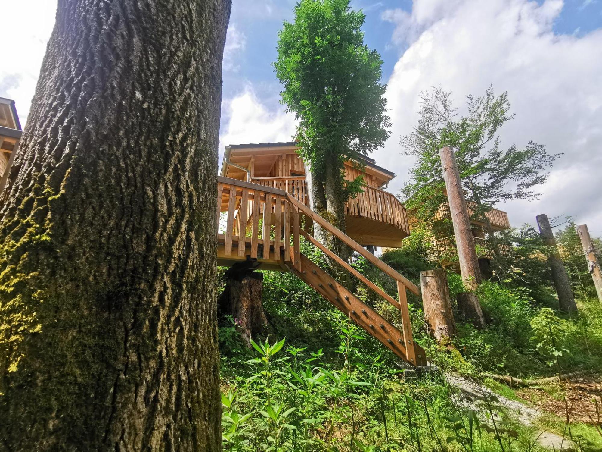 Готель Wald Ist Zukunft Bernbeuren Екстер'єр фото