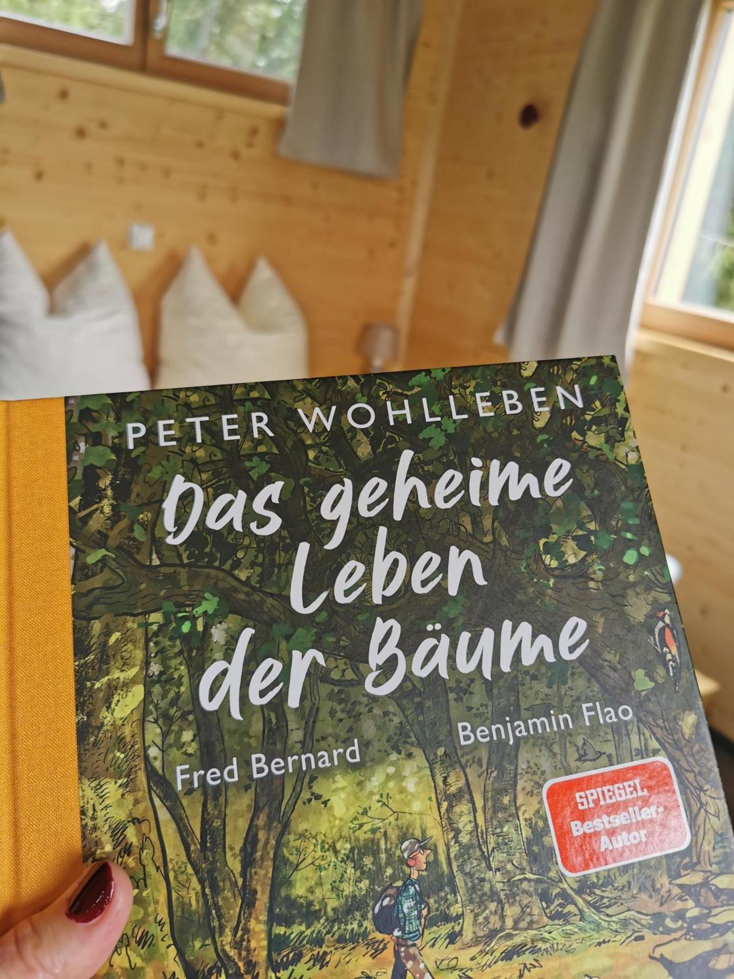 Готель Wald Ist Zukunft Bernbeuren Екстер'єр фото
