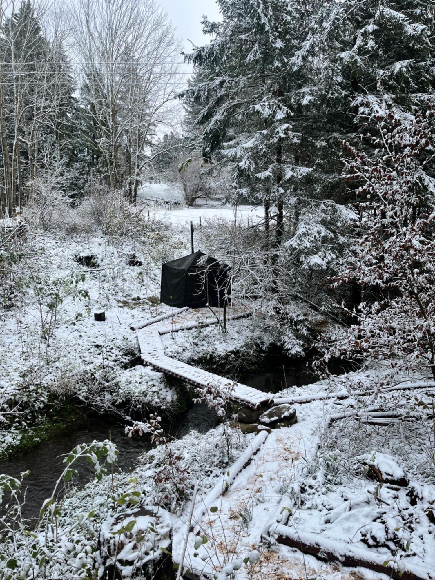 Готель Wald Ist Zukunft Bernbeuren Екстер'єр фото