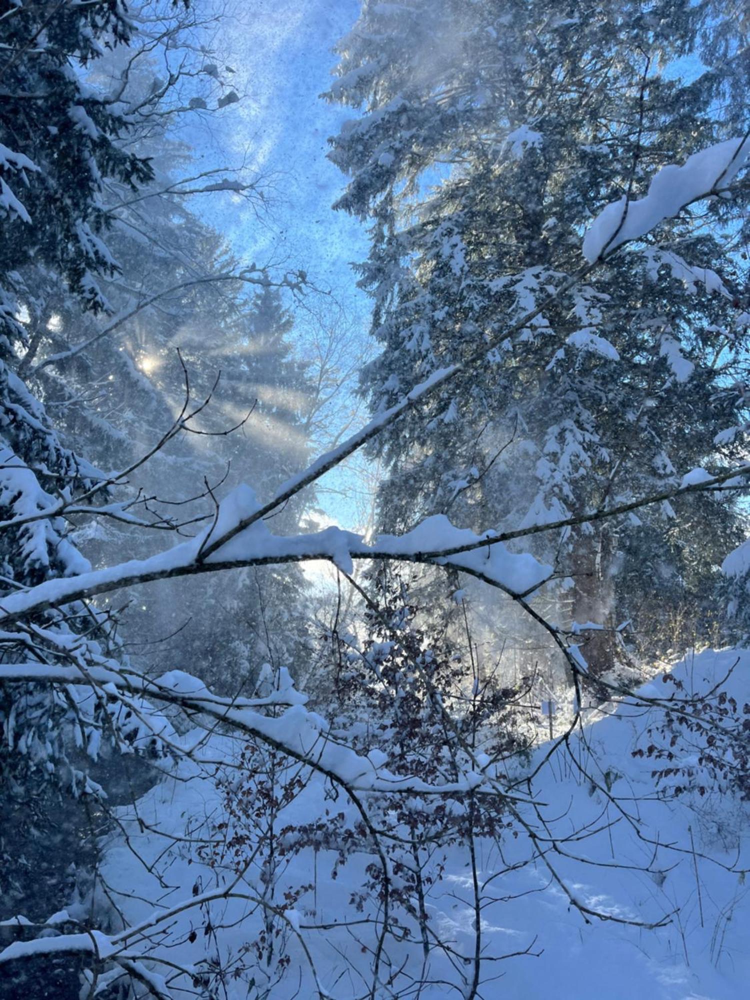 Готель Wald Ist Zukunft Bernbeuren Екстер'єр фото